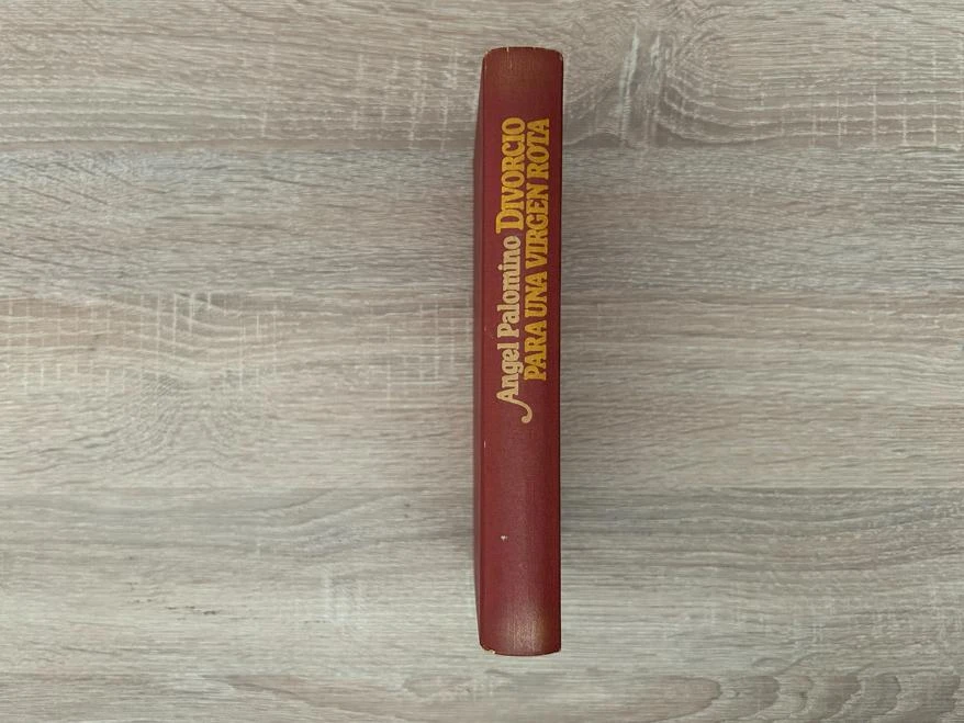 Boek Echtscheiding voor een gebroken maagd - Ángel Palomino (Hardcover) – photo 3
